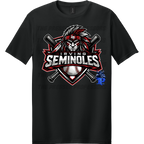 SEMINOLES BASEBALL